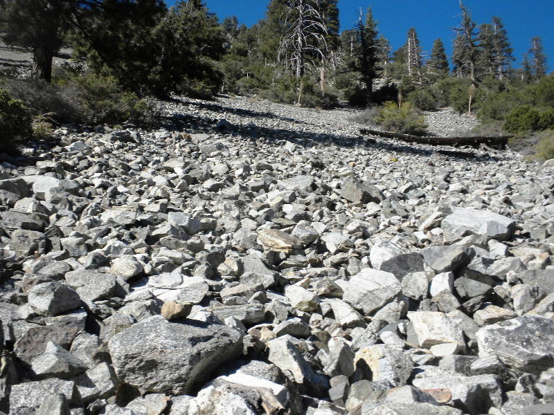ceglen103110 097.jpg